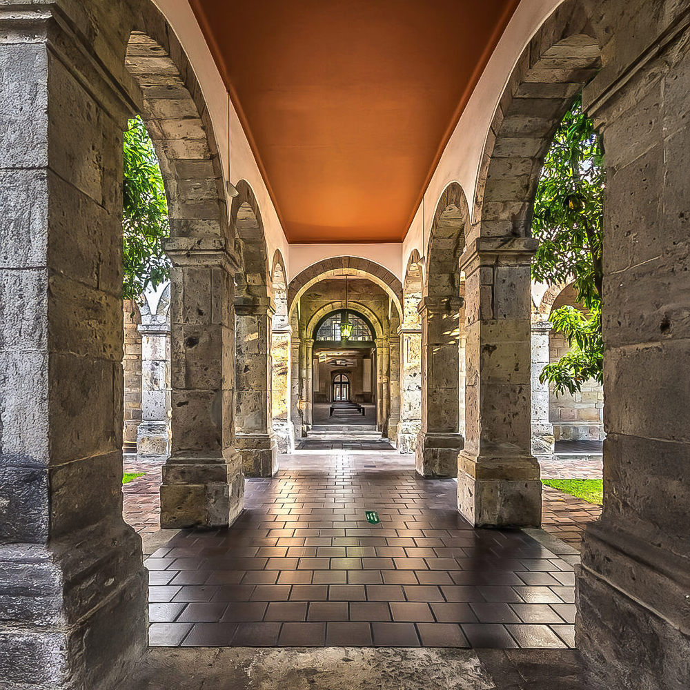 ¿Que ver en el Museo Cabañas?