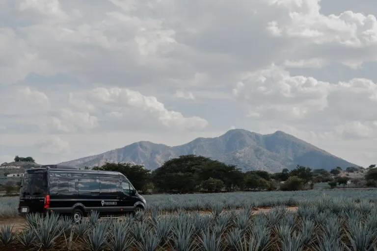 Parroquia de Santiago Apóstol: El Corazón Colonial de Tequila, Jalisco